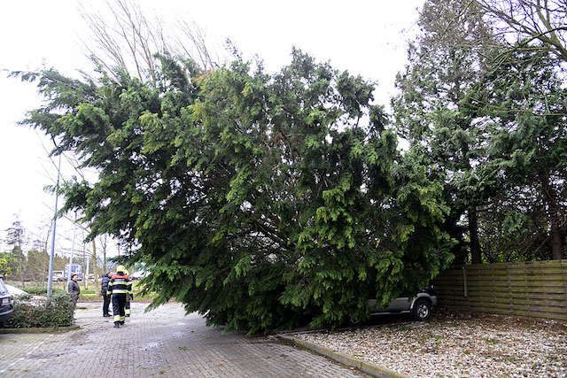 2018/14/20180118-10u15 GB 004 Stormschade Herbergh.jpg